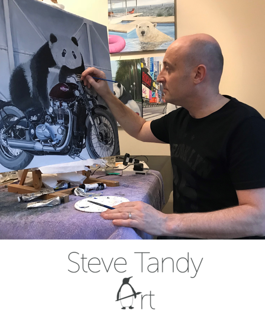 Steve Tandy 