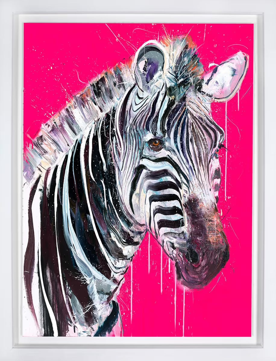 Grevy's Zebra I