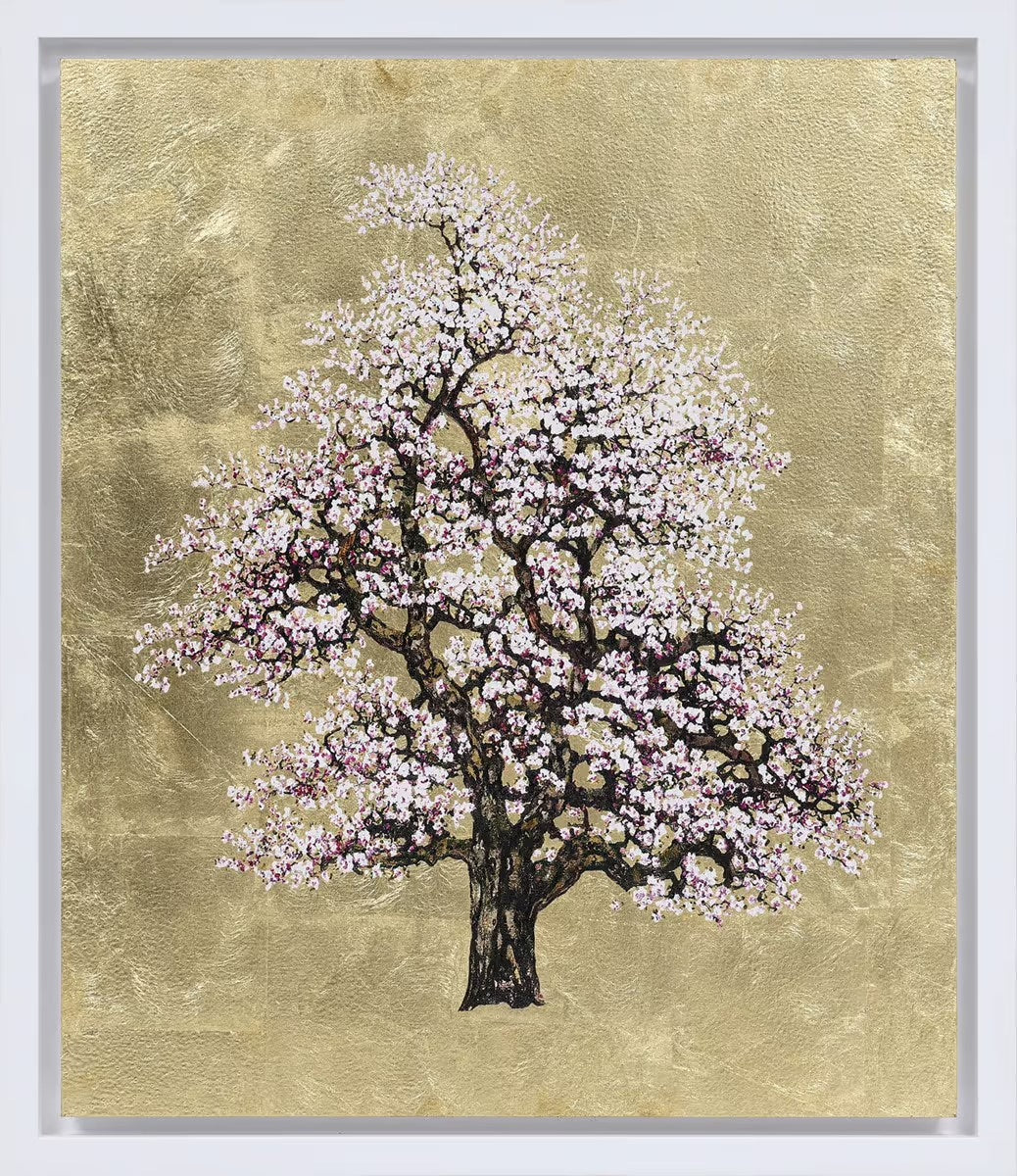 Artistic depiction of a cherry blossom tree with pink flowers on a textured gold background

silver leaf

Silver Dawn

landscape

Jack Frame

interior design

Golden Hour

gold leaf

Gilded Blossom

floral

fine art

edition

contemporary art

colourful

blossom tree

abstract

Framed Artwork For Sale Ascot 
