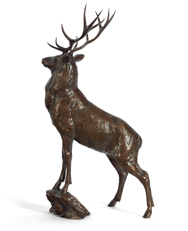 Bronze statue of a deer with large antlers 

wildlife

stag

sculpture

portrait

Monarch Stag

gift ideas

fine art

figurative

edition

contemporary art

bronze

For Sale London 

Michael Simpson