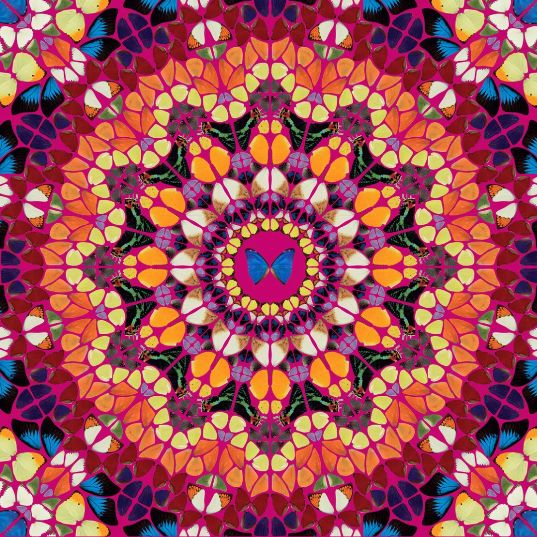 Harlequin