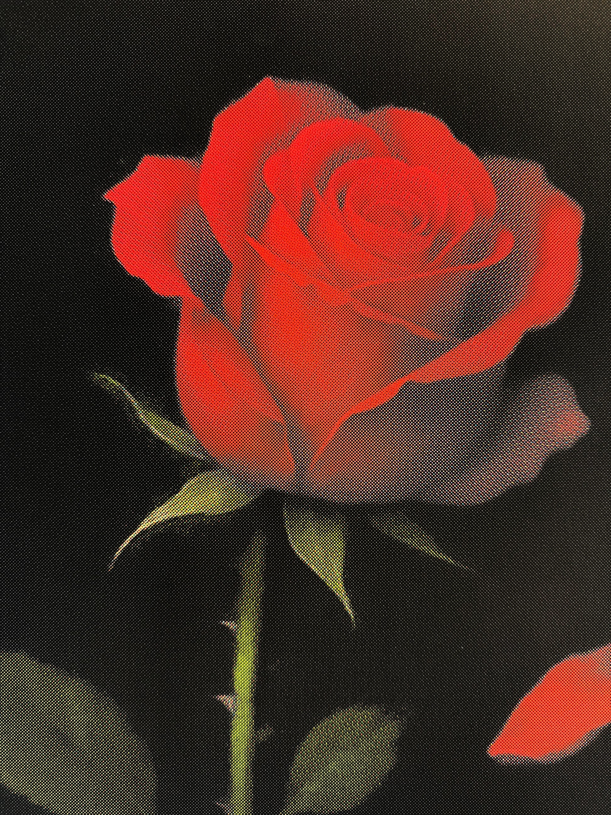 Conceptual fine art print ’Til Death Do Us Part by The Saint, symbolising devotion, time, and mortality through a decaying rose.