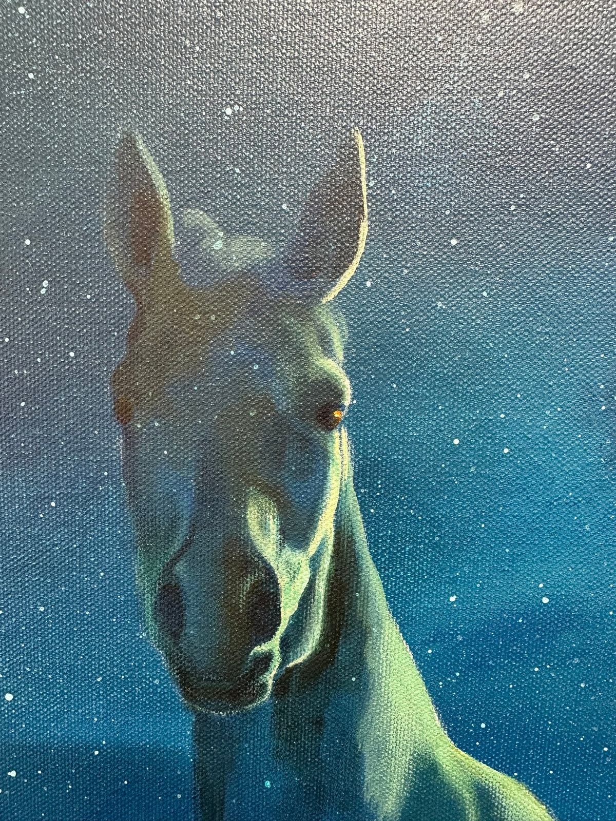 Vincent Devine 'Abundance' original painting, close-up detail of the horse's head and eye against a deep blue starlit sky. Creed Gallery, Ascot.